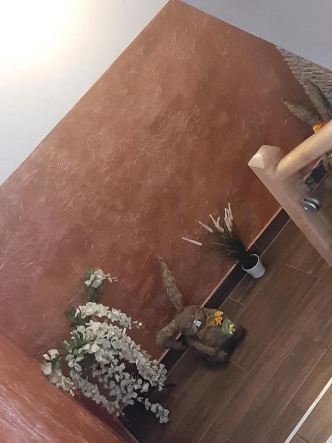 Pokoje U Mrugaly Czerwienne Esterno foto